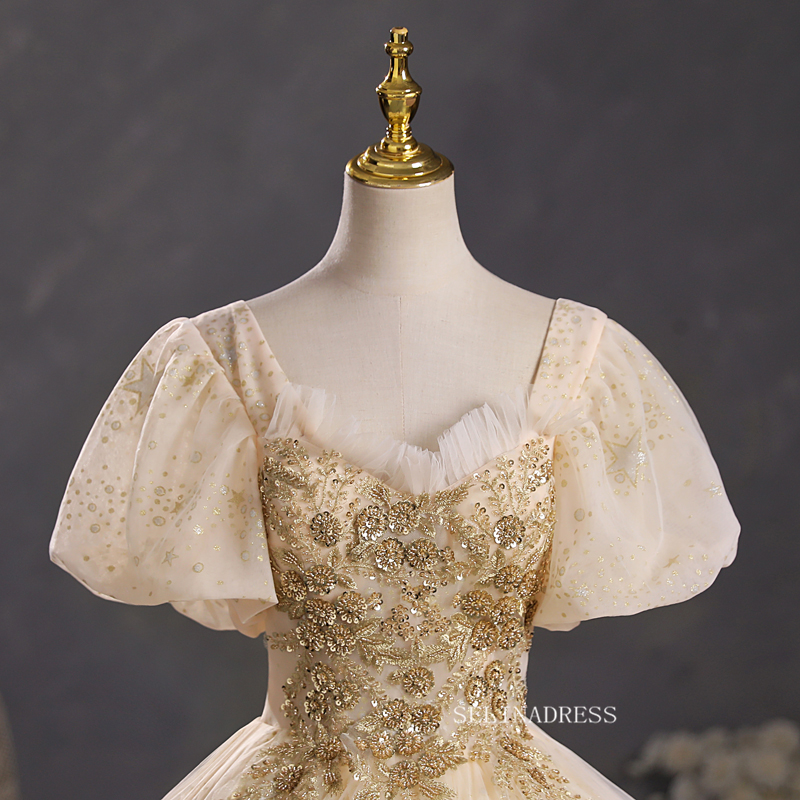 19 Century Ball Gowns Elegant