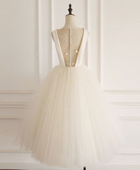 Light champagne tulle short prom dress tulle evening dress